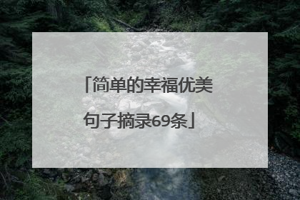 简单的幸福优美句子摘录69条