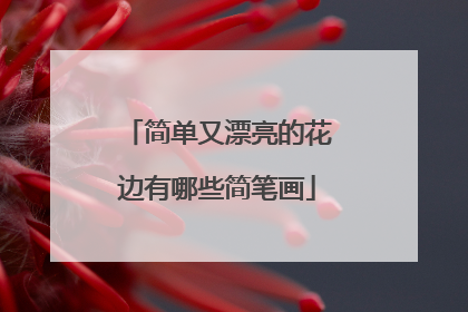 简单又漂亮的花边有哪些简笔画