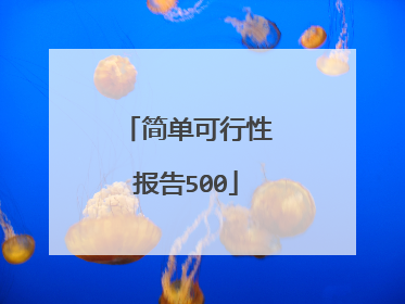 简单可行性报告500