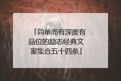 简单而有深度有品位的励志经典文案集合五十四条