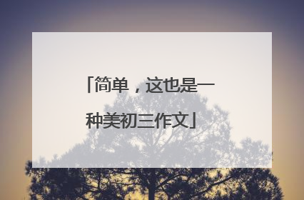 简单，这也是一种美初三作文