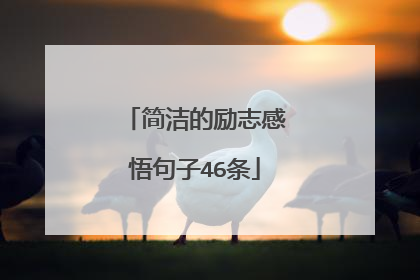 简洁的励志感悟句子46条