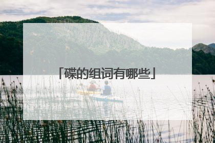 碟的组词有哪些