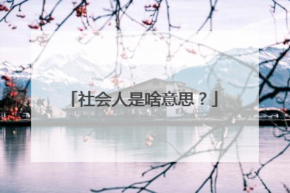 社会人是啥意思？