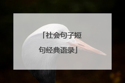 社会句子短句经典语录