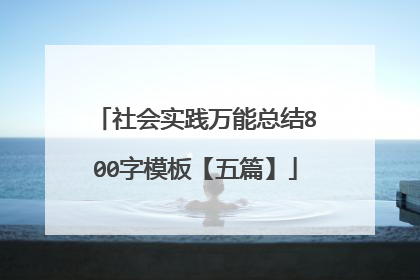 社会实践万能总结800字模板【五篇】