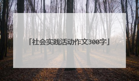 社会实践活动作文300字