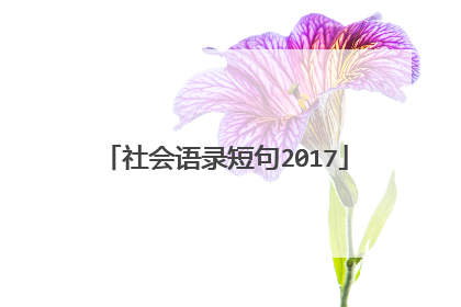 社会语录短句2017