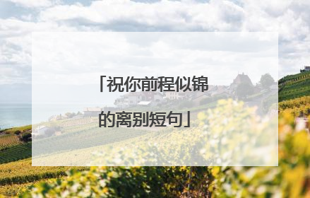 祝你前程似锦的离别短句