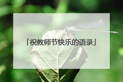 祝教师节快乐的语录