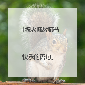 祝老师教师节快乐的语句