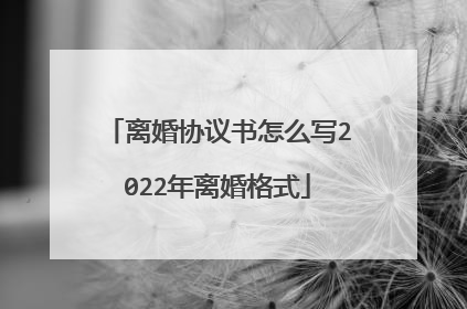 离婚协议书怎么写2022年离婚格式