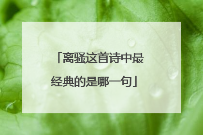 离骚这首诗中最经典的是哪一句