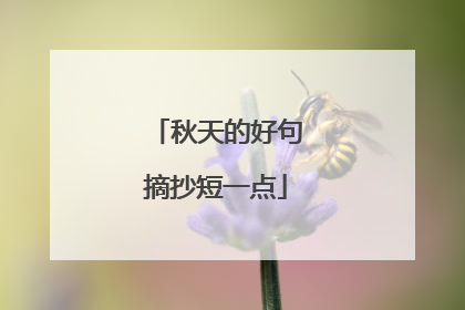 秋天的好句摘抄短一点