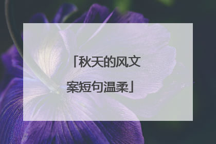 秋天的风文案短句温柔