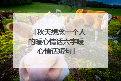 秋天想念一个人的暖心情话六字暖心情话短句