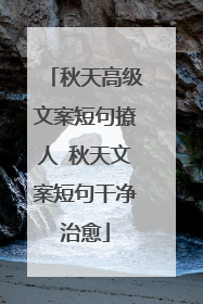 秋天高级文案短句撩人 秋天文案短句干净治愈