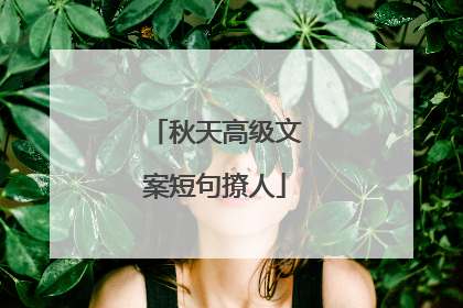 秋天高级文案短句撩人