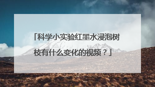 科学小实验红墨水浸泡树枝有什么变化的视频?