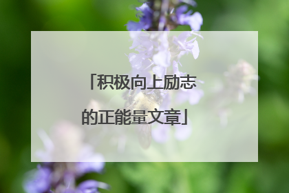 积极向上励志的正能量文章