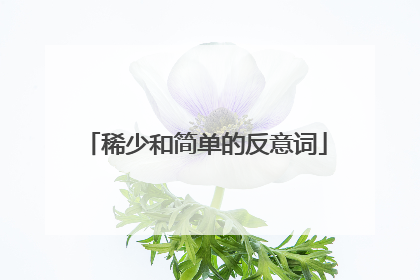 稀少和简单的反意词