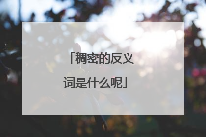 稠密的反义词是什么呢