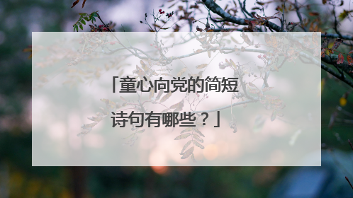 童心向党的简短诗句有哪些？