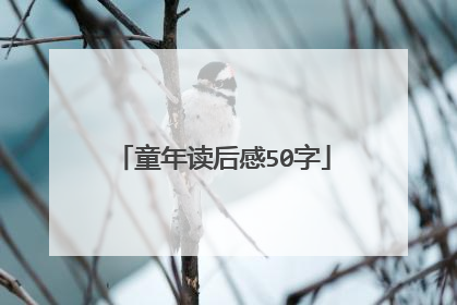 童年读后感50字
