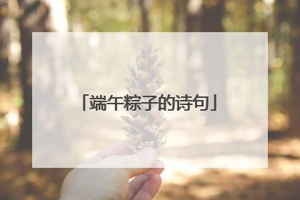 端午粽子的诗句