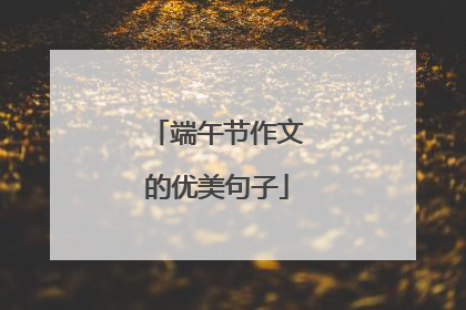 端午节作文的优美句子