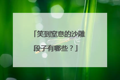 笑到窒息的沙雕段子有哪些？