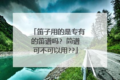 笛子用的是专有的笛谱吗? 简谱可不可以用??
