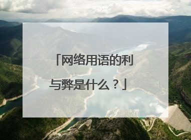 网络用语的利与弊是什么？