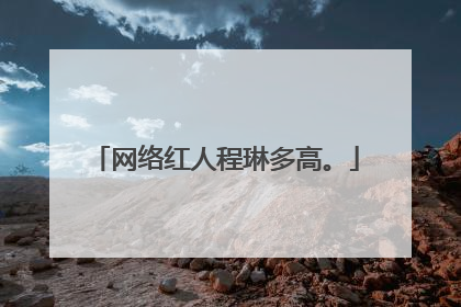 网络红人程琳多高。