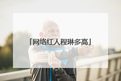 网络红人程琳多高
