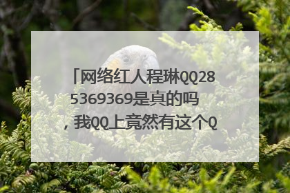 网络红人程琳QQ285369369是真的吗，我QQ上竟然有这个QQ，以为是谁，进去看全是程琳的照片