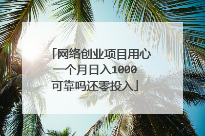 网络创业项目用心一个月日入1000可靠吗还零投入