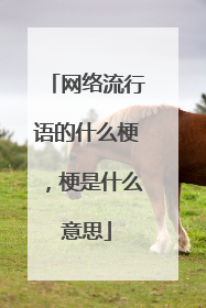 网络流行语的什么梗,梗是什么意思