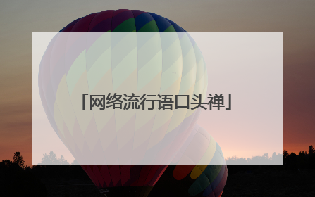 网络流行语口头禅