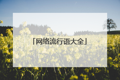 网络流行语大全