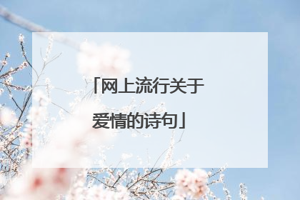 网上流行关于爱情的诗句