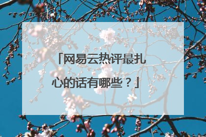 网易云热评最扎心的话有哪些?