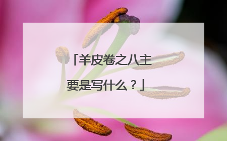羊皮卷之八主要是写什么？
