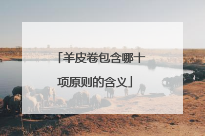 羊皮卷包含哪十项原则的含义