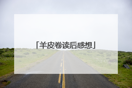 羊皮卷读后感想