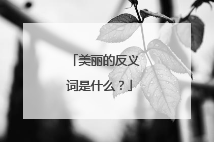 美丽的反义词是什么?