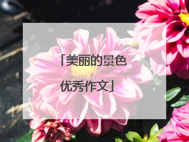 美丽的景色优秀作文