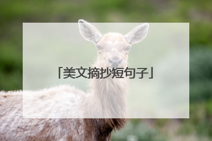 美文摘抄短句子