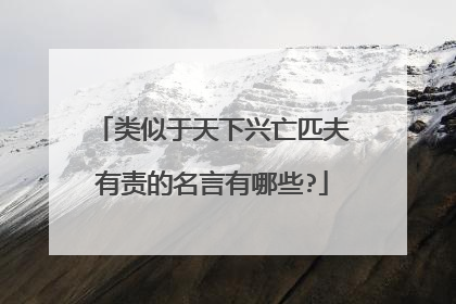 类似于天下兴亡匹夫有责的名言有哪些?