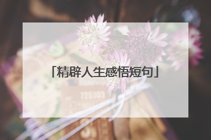 精辟人生感悟短句